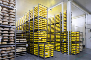 Cold Storage